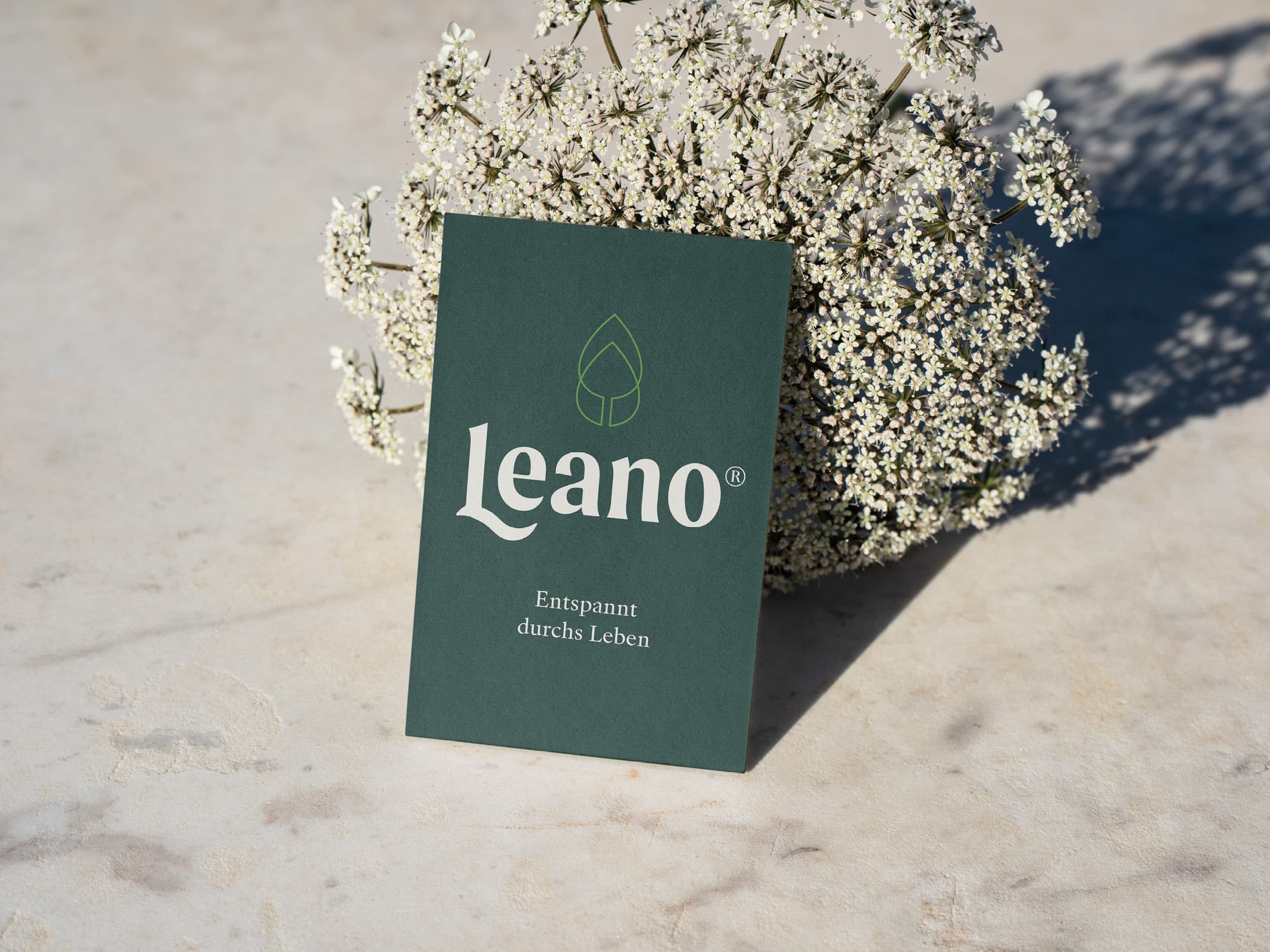 Porträt der Woche Ina Oakley, Projekt Leano® – Corporate Design, Branding. Namensentwicklung für Holzmöbels aus Zirbenholz 
