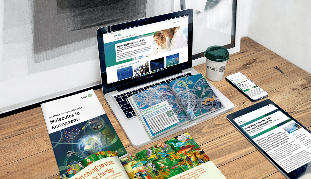 Ein moderner Arbeitsplatz mit verschiedenen Geräten wie Laptops und Tablets, die geöffnete wissenschaftliche und bildungsbezogene Websites anzeigen