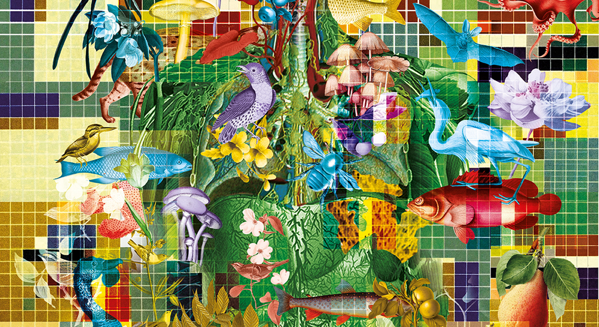 Ein farbenfrohes, abstraktes Collage-Kunstwerk, das verschiedene Tier- und Pflanzenarten zeigt, überlagert mit geometrischen Mustern