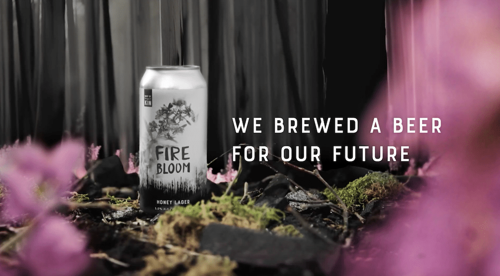 Kampagne von der Micro Brewery Best of Kin aus Alberta, Kanada, Slogan »The Beer We Don’t Want to Brew«, Honey Lager Fire Bloom