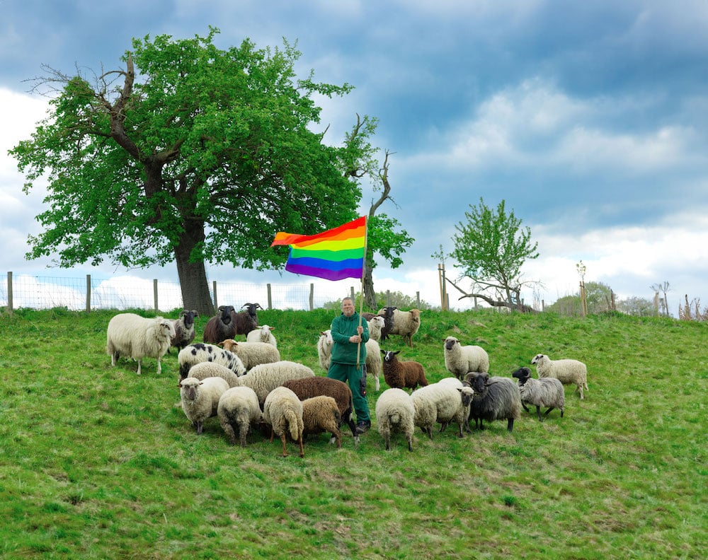 Schäfer Michael Stücke mit seinen Schafböcken auf grüner Wiese und dazu schwenkt er eine Regenbogen-Flagge