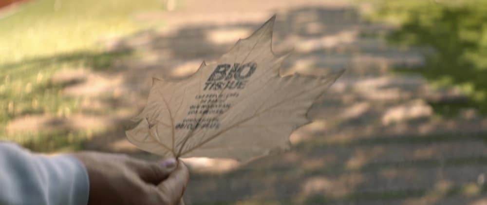 Frau hält ein Herbstblatt in der Hand, das mit dem Logo von »Bio Tissue« bedruckt ist