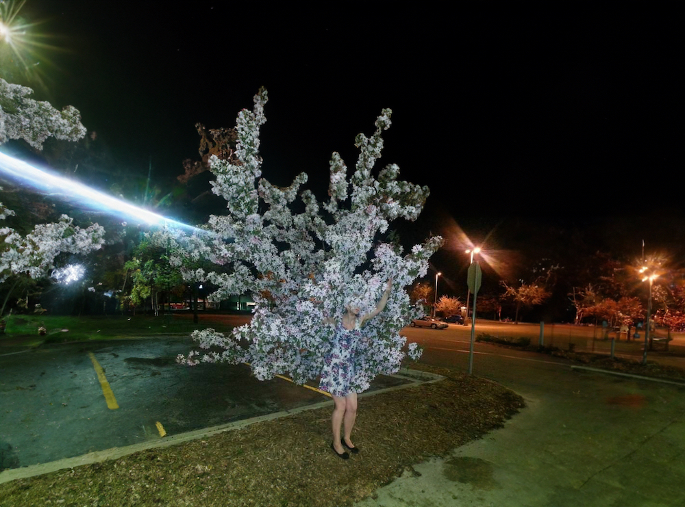 Farbfotografie und Collage mit Frau, die gleichzeitig ein japanischer Kirschbaum in Blüte ist