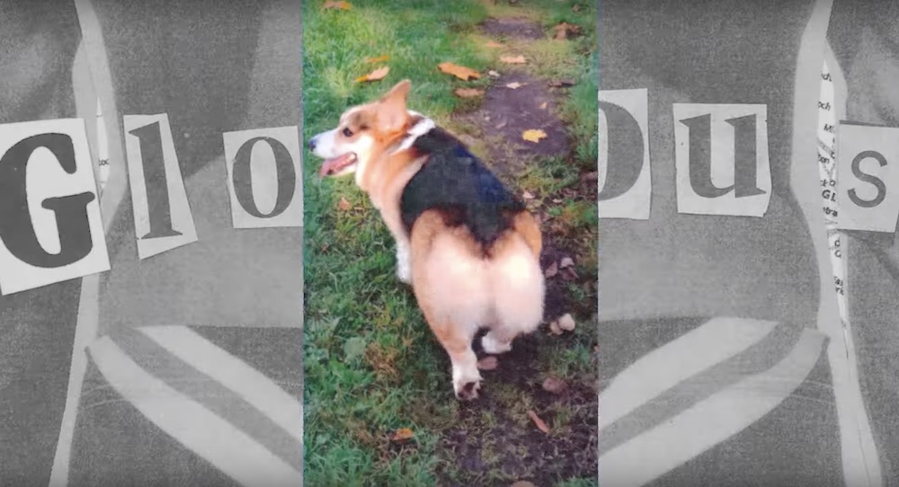 Screenshot aus dem Spot »Get Your Bum On Board!« mit Corgi