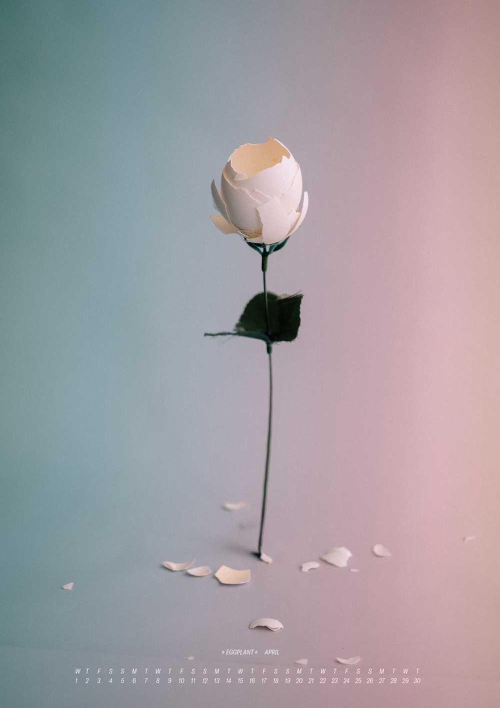 Kalender von Sarah Illenberger 2026 mit Eierschale als Blume