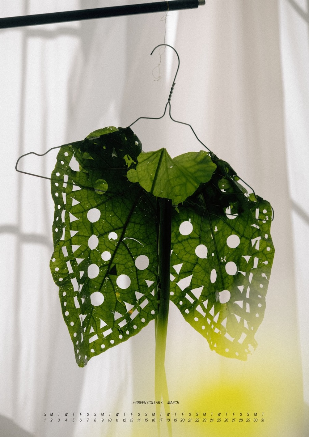 Kalender von Sarah Illenberger 2026 mit Blättern als Kragen, die auf Bügel hängen