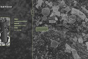 KI-gestützte Abfallsteuerung Wasteer GmbH