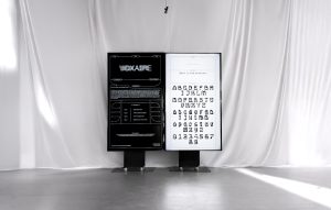»VOXAIPE – Decoded«