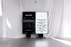 »VOXAIPE – Decoded«