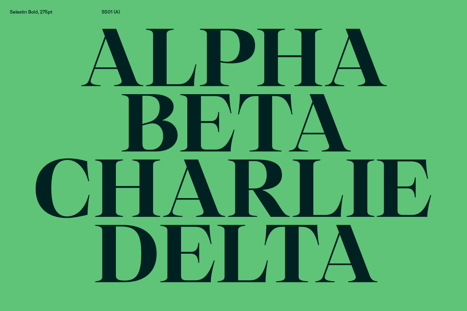 Schrift Selestin der britischen Foundry The Northern Block mit tropfenförmigen, kugeligen Serifen Schwarz auf Grün 