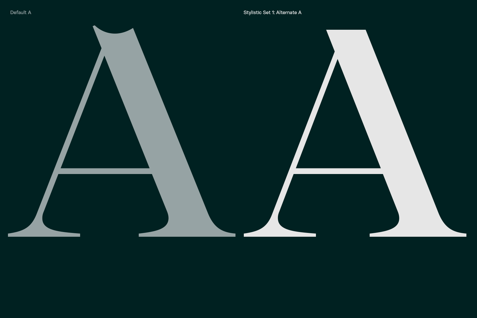 Schrift Selestin der britischen Foundry The Northern Block mit tropfenförmigen, kugeligen Serifen und als Alternates 