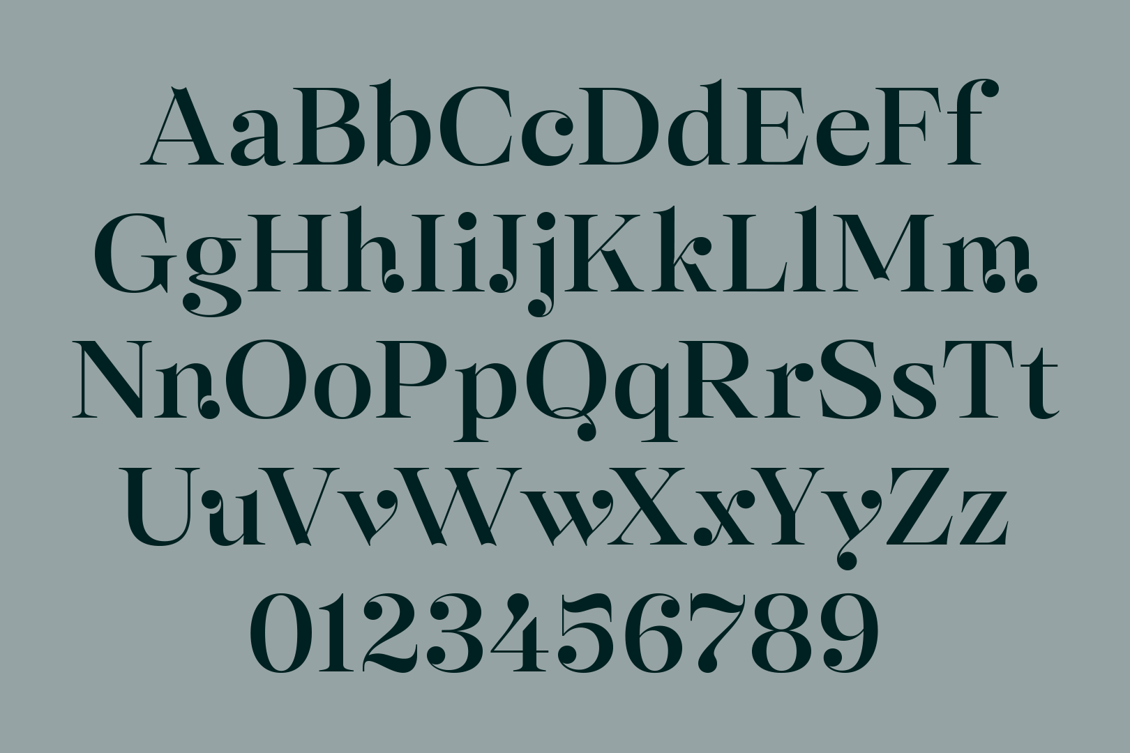 Schrift Selestin der britischen Foundry The Northern Block mit tropfenförmigen, kugeligen Serifen 