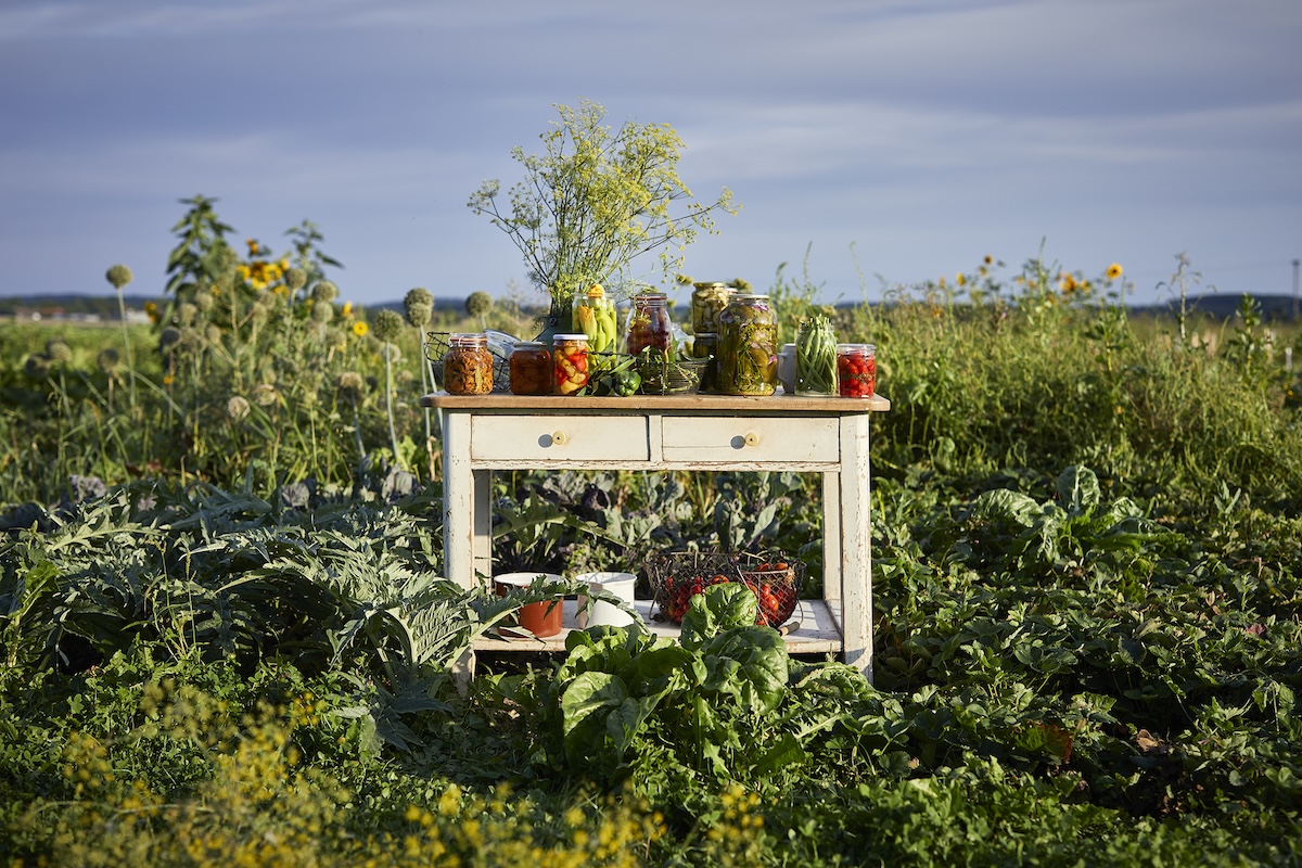 Šárka Otevřel Camrdová: God is a Pickle. Rezepte und Geschichten vom Einmachen und Weiterkochen – eine kulinarische Reise durch Tschechien: Tisch voller Einmachgläser vor blühender Sommerlandschaft