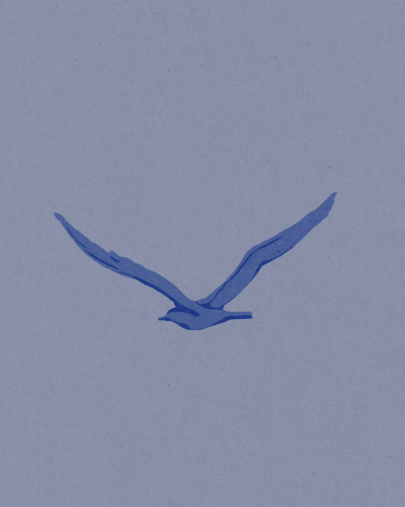 Minimalistische, blaue Illustration eines Vogels mit ausgebreiteten Flügeln vor hellem Hintergrund. Die reduzierte Linienführung vermittelt Ruhe und Weite.