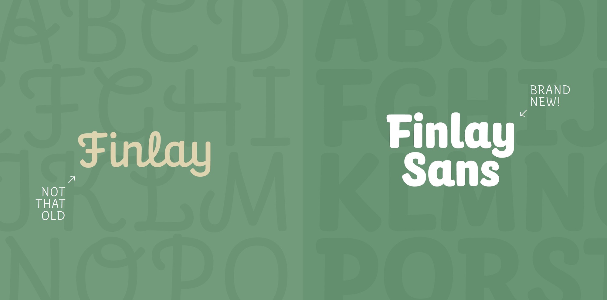 Auf grünem Hintergrund steht links Finlay, rechts Finlay Sans. so kann man die beiden Schriften direkt miteinander vergleichen.