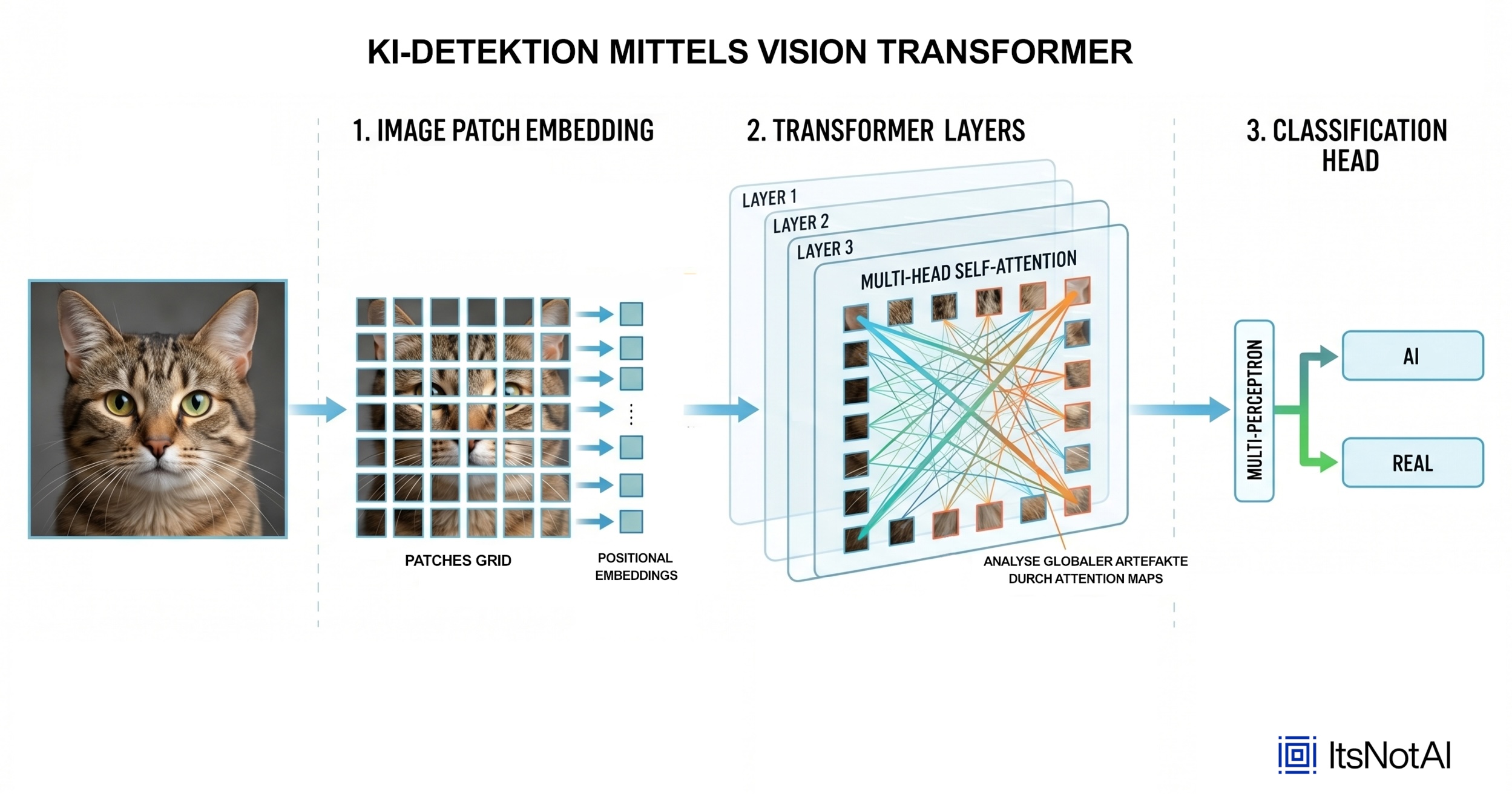 Infografik zur KI-Bilderkennung mit einem Vision-Transformer-Modell. Links steht das Foto einer Katze als Eingabebild. Im ersten Schritt wird das Bild in viele kleine Bildausschnitte (Patches) zerlegt und mit Positionsinformationen versehen. Im zweiten Schritt analysieren mehrere Transformer-Ebenen die Beziehungen zwischen den Bildausschnitten mithilfe von Self-Attention-Mechanismen, um globale Muster und mögliche Artefakte zu erkennen. Im dritten Schritt klassifiziert ein neuronales Netzwerk das Bild als „AI“ oder „REAL“. Die Grafik visualisiert den technischen Ablauf der automatisierten Unterscheidung zwischen KI-generierten und echten Bildern.