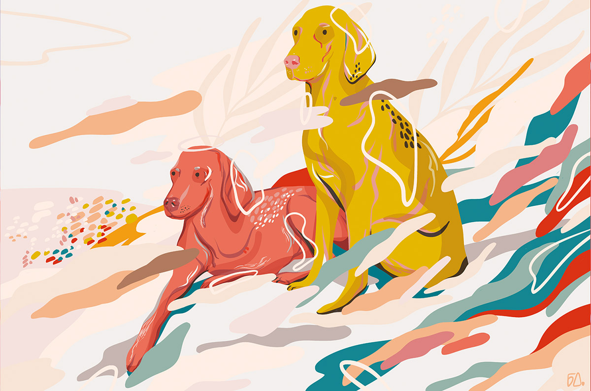 Querformatige Tierillustration auf cremefarbenem Grund: Zwei Hunde der Rasse Vizsla (Ungarischer Vorstehhund) in stark vereinfachten Farbflächen – einer liegend in Korallorange links, einer sitzend in leuchtendem Gelboliv rechts. Beide sind mit weißen Konturlinien und schwarzen Punktdetails überlagert; fließende Farbflächen in Türkis, Rot, Orange und Beige durchziehen den Hintergrund, ergänzt durch angedeutete Blätter und bunte Tupfer links. Unten rechts das Künstlerinnenzeichen.