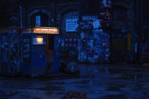 Fuchs bei Nacht in einer Stadt, im Hintergrund eine Fotokabine