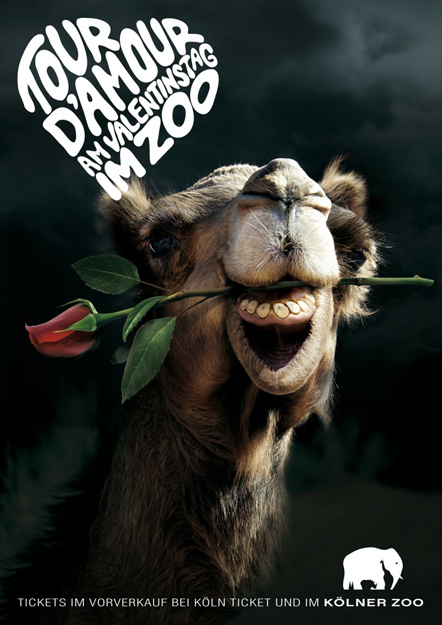 Bild Tour D'Amour Kölner Zoo Kampagne