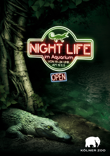 Bild Night Life Aquarium